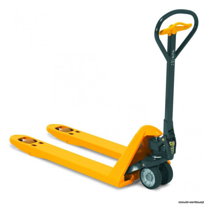 Рохля в аренду